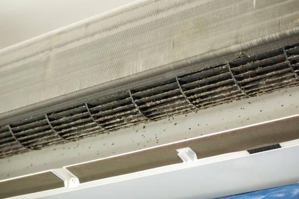 Best Air Duct Cleaning Near Me  in West Point, VA